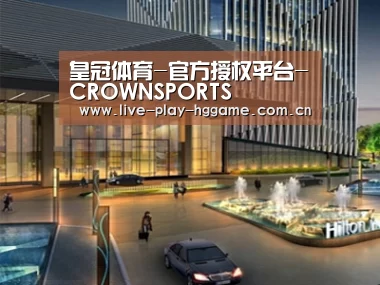 案例展示二(图1)