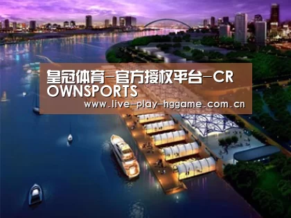 案例展示八