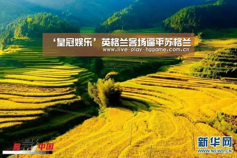 皇冠网