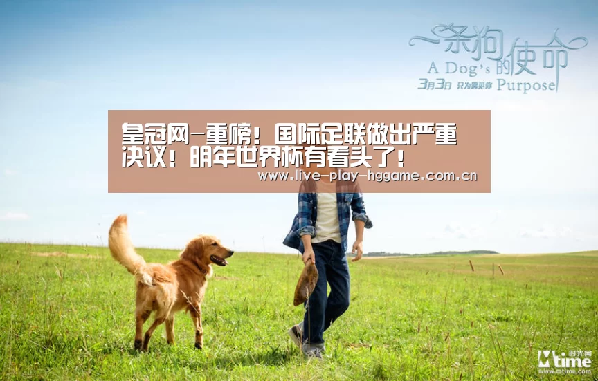 皇冠网-重磅!国际足联做出严重决议!明年世界杯有看头了!(图3) 皇冠网
